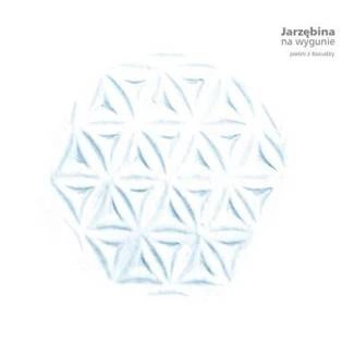 JARZĘBINA Na Wygunie CD