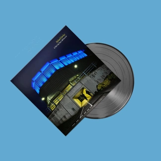RICHARD HAWLEY In This City They Call You Love LP