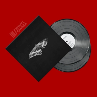 KENDRICK LAMAR To Pimp A Buttefrly (10th Anniversary) 2LP