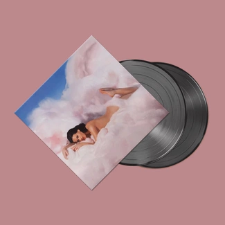 KATY PERRY Teenage Dream 2LP