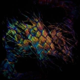 VAURA Sables CD DIGIPAK