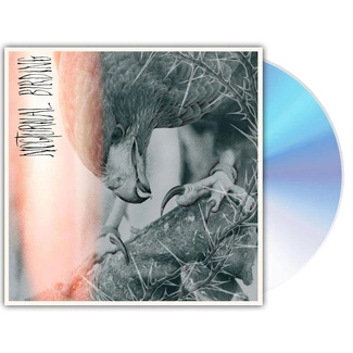 AUTHOR & PUNISHER Nocturnal Birding CD