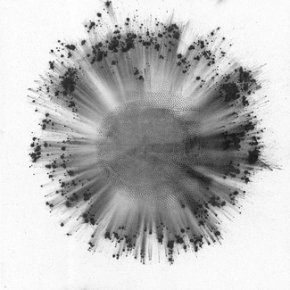 TRENTEMOLLER Obverse CD