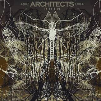 ARCHITECTS Ruin LP