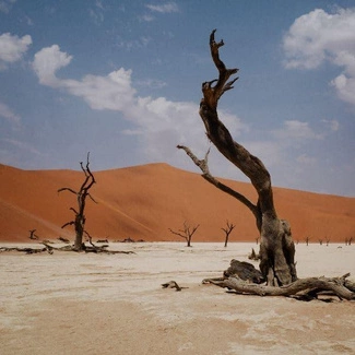 NYOS Growl CD DIGIPAK