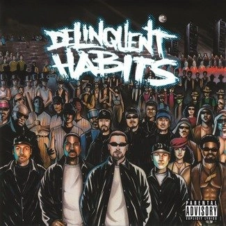 DELINQUENT HABITS Delinquent Habits 2 LP MOV