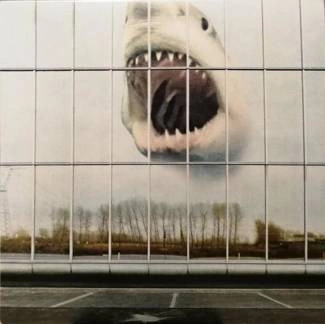 BLACK MOUNTAIN Wilderness Heart LP