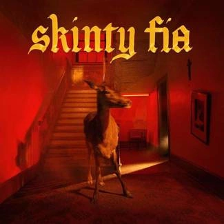 FONTAINES D.C. Skinty Fia CD DIGIPAK