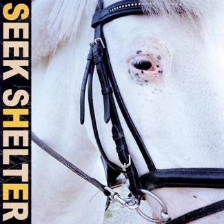 ICEAGE Seek Shelter CD DIGIPAK