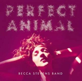 STEVENS, BECCA Perfect Animal CD