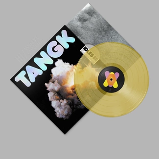 IDLES Tangk LP DELUXE