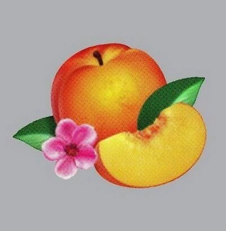 PHOENIX Bankrupt CD DELUXE CD