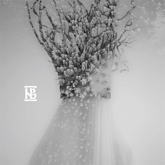 NEGURA BUNGET Zau CD DIGIPAK