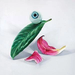 DELS Petals Have Fallen CD