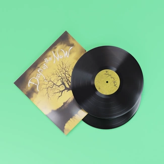 DAYS OF THE NEW Days Of The New 2 LP MOV