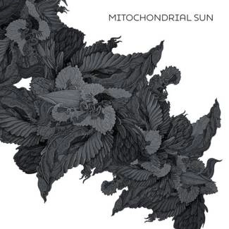 MITOCHONDRIAL SUN Mitochondrial Sun CD DIGIPAK