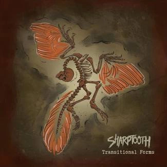 SHARPTOOTH Transitional Forms LP