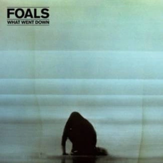 FOALS What Went Down CD