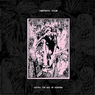 RASPBERRY BULBS Before The Age Of Mirrors CD