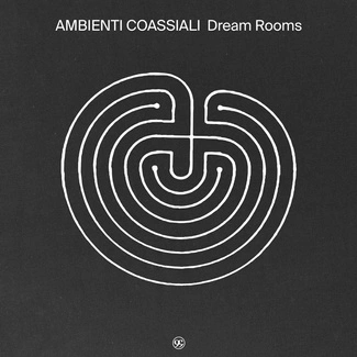 AMBIENTI COASSIALI Dream Rooms LP