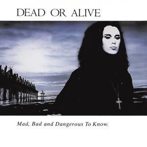 DEAD OR ALIVE Mad, Bad And Dangerous To Know CD