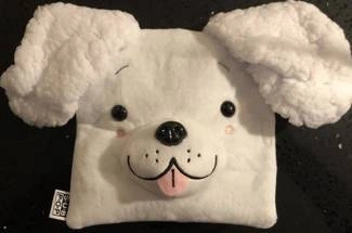 FRANKIE COSMOS Close It Quietly LP