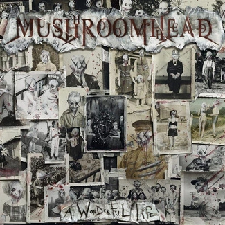 MUSHROOMHEAD A Wonderful Life Limited Edition CD DIGIPAK