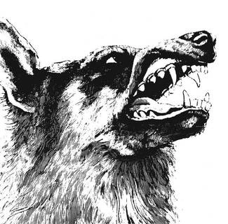 CRIPPLED BLACK PHOENIX I Vigilante CD DIGIPAK