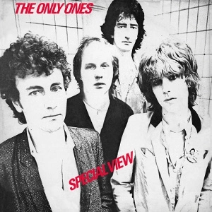 ONLY ONES Special View LP