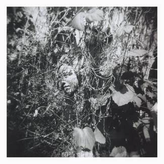 TIM MISLOCK Now Is The Last Best Time CD