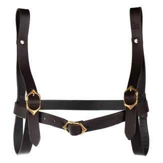 Dungeons & Dragons Book Holder Wizard Brown