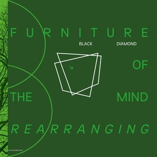 BLACK DIAMOND Furniture Of the Mind Rearranging 2LP