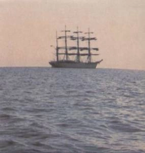 SMOG Doctor Came At Dawn LP