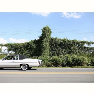 BRANAN, CORY When I Go I Ghost CD