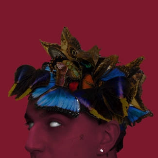 SOBEL PuŁapka Na Motyle CD