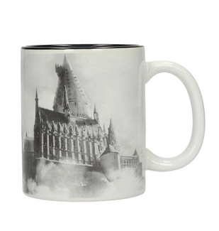 Harry Potter Mug Hogwarts Castle