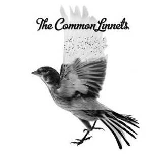 COMMON LINNETS Common Linnets (pl) CD