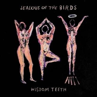 JEALOUS OF THE BIRDS Wisdom Teeth CD DIGIPAK