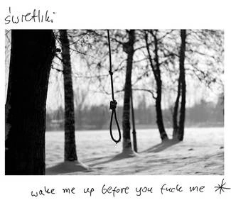 ŚWIETLIKI Wake Me Up Before You Fuck Me CD