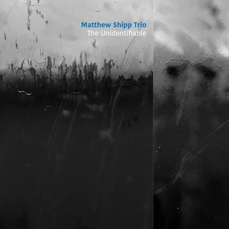 MATTHEW SHIPP TRIO The Unidentifiable CD