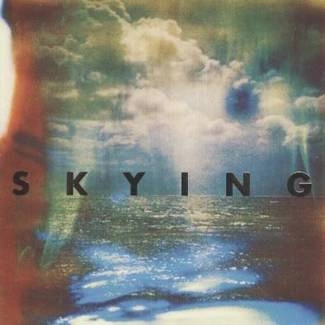 HORRORS, THE Skying CD