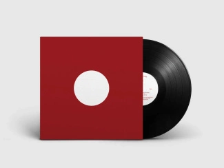 D'MONK Shine EP 12"