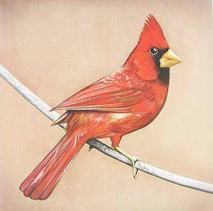 ALEXISONFIRE Old Crows Young Cardinals 2LP