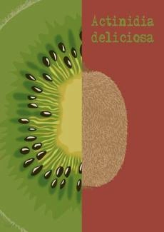 Kiwi PLAKAT